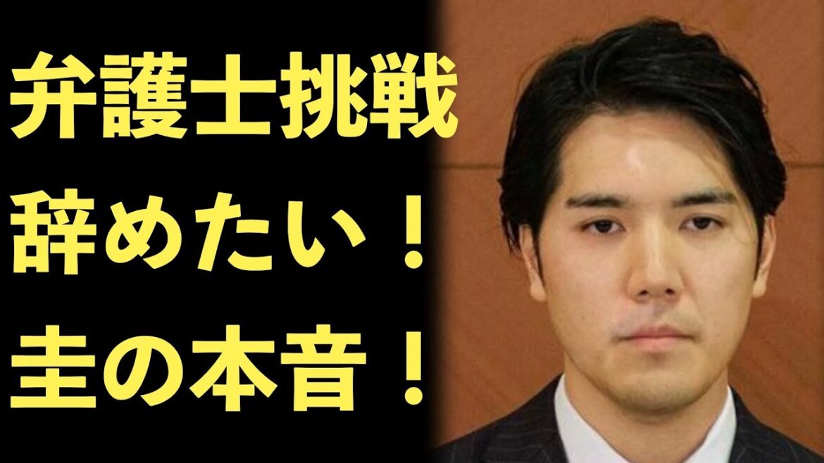 小室圭、実は弁護士になりたくない！またも司法試験不合格だった原因【Masaニュース雑談】 XOXO JAPAN