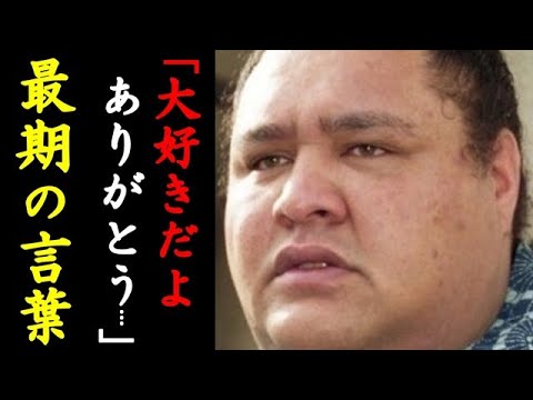 曙の闘病生活と切ない最期に涙が溢れる...横綱として活躍した力士の遺言 XOXO JAPAN